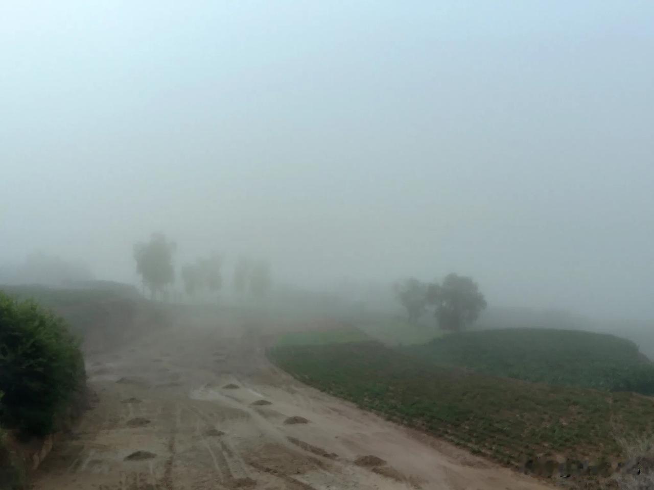 雾中的黄土高坡

昨夜大雨，驱车去到渭阳，一路上却是迷雾重重。索性下车，拍下了这