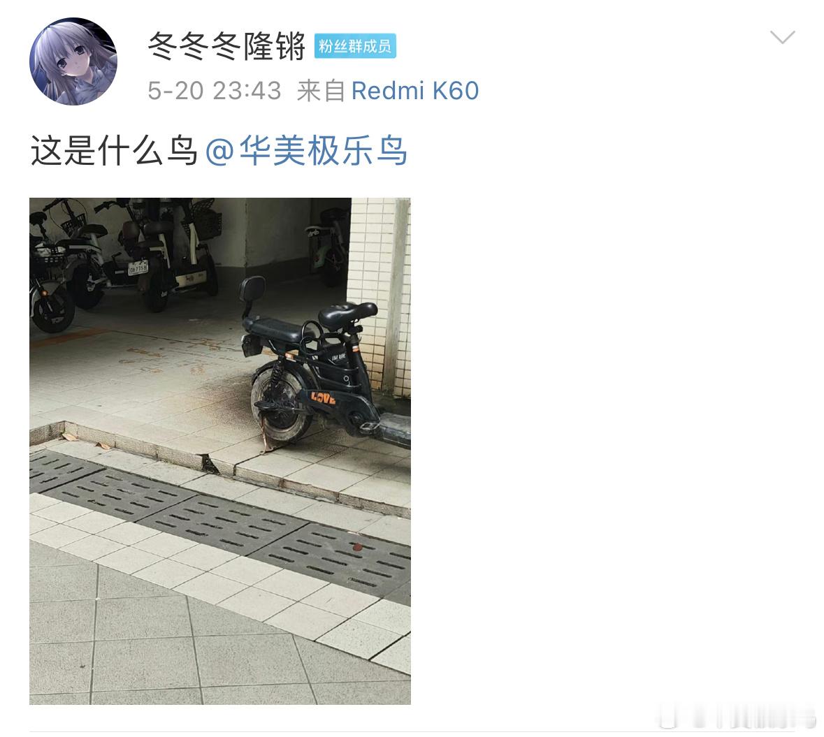 ？？？这我是真妹想到的 ​​​