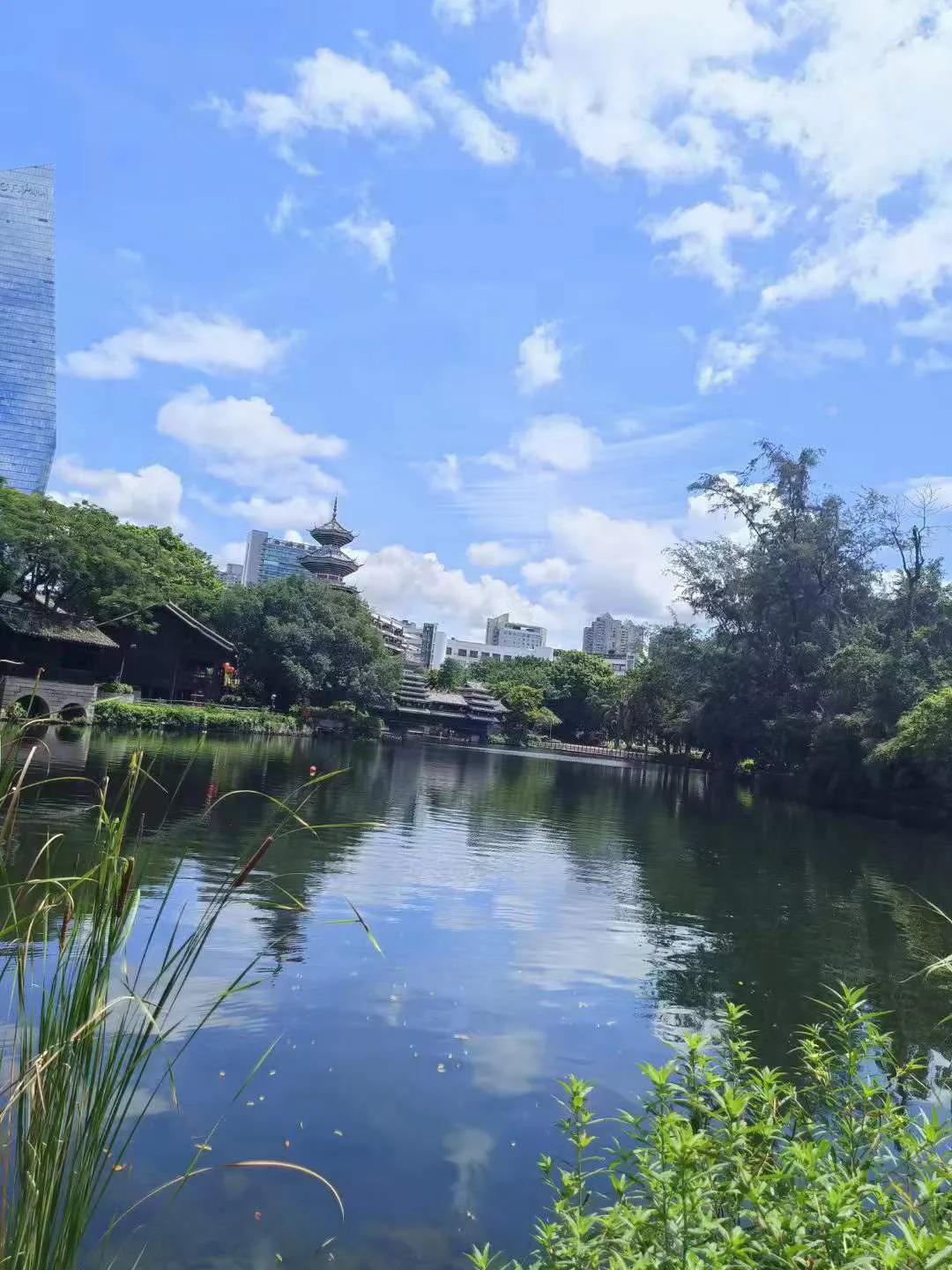 上班和男同事聊天，我说我喜欢王勃那种，他说那你眼光也太高了，我说哪里高了?王勃又