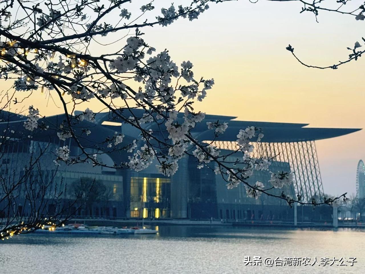 我听到一位无锡土著留言，我超赞同“把太阳升起后的鼋头渚让给外地朋友”这话。鼋头渚