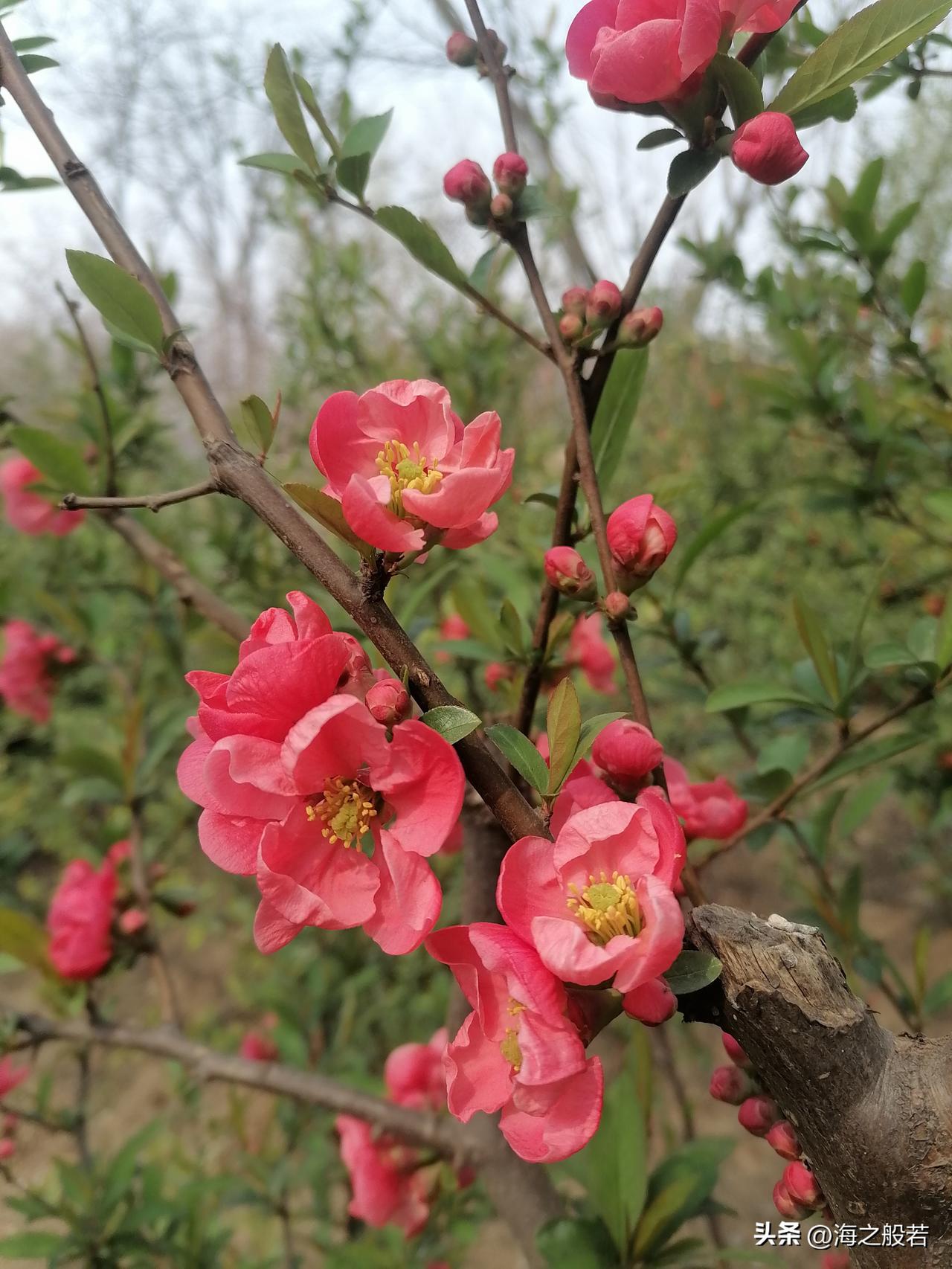 天气预报员上线啦，每天关注天气，感受阴晴冷暖。

3月29日，北京大部分天空晴朗