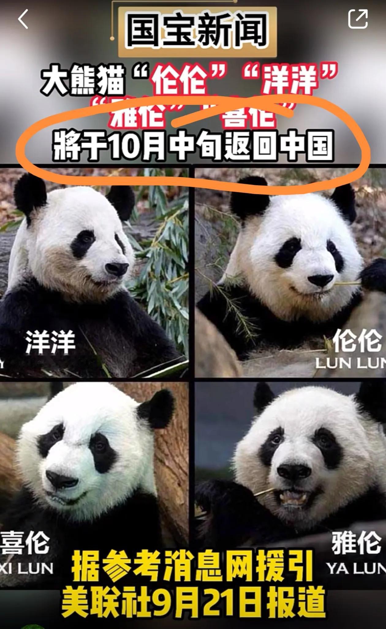 告别会呢已经结束了
据说排队两小时，看熊一分钟
呵呵哒.......
前些时候也