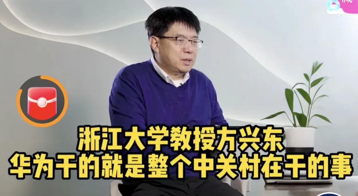 浙大方兴东教授：华为真正称得上是中国it行业的领导者，世界it行业的前卫。

方