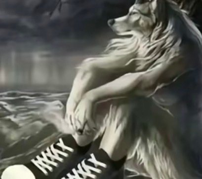 谁来懂我的忧郁 