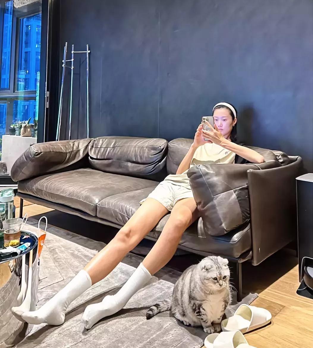 胖猫咪的快乐无人能比