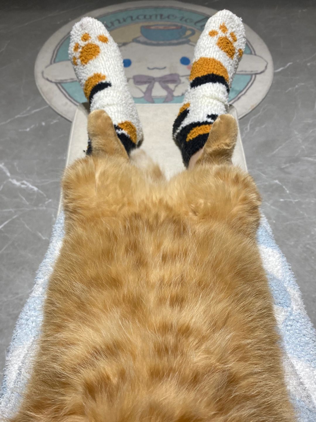猫猫毯怎么打理的？
