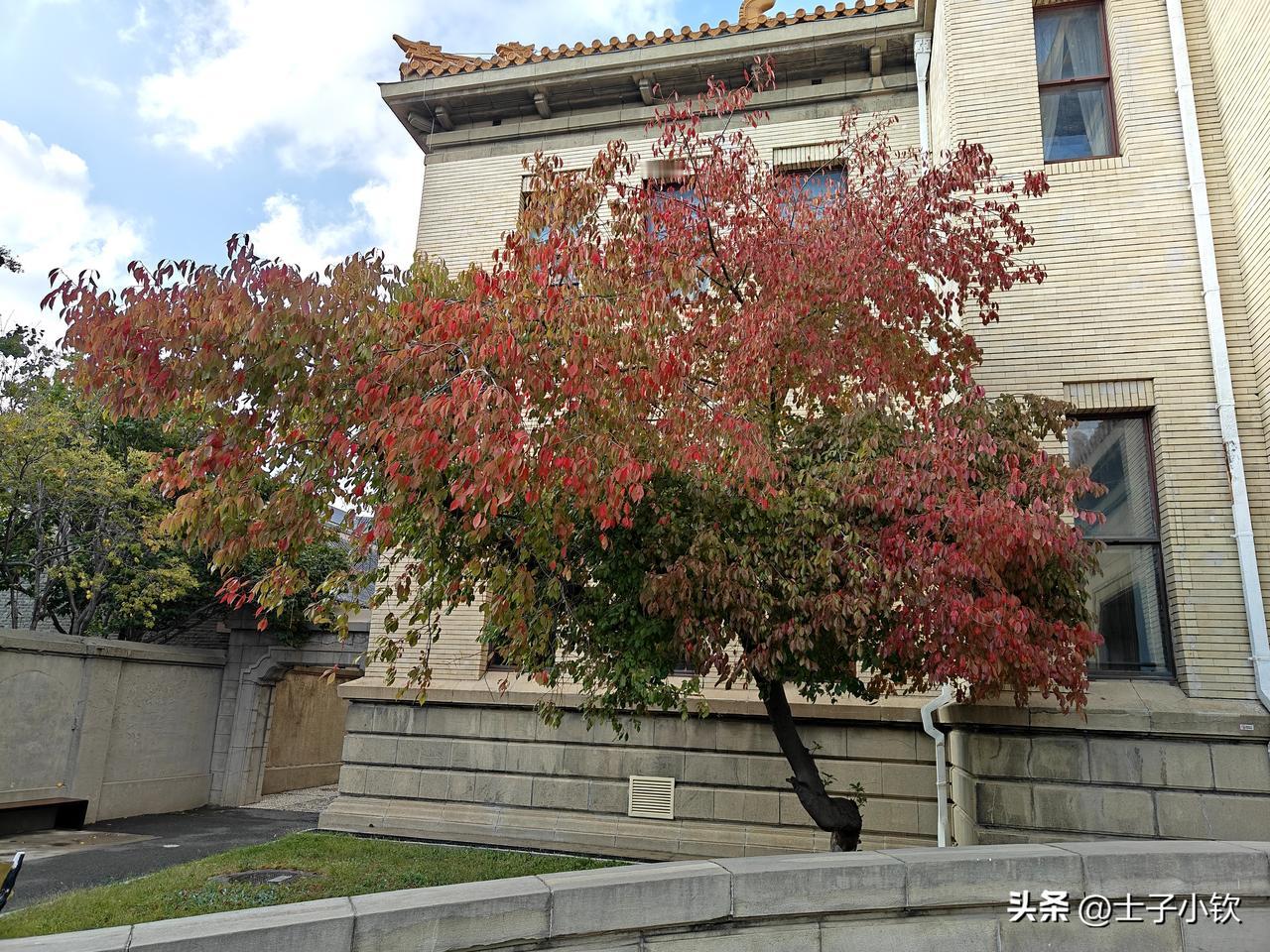 创作训练营2期开营啦个人喜欢军事和历史，就经常在网络上浏览相关的内容，久而久之，