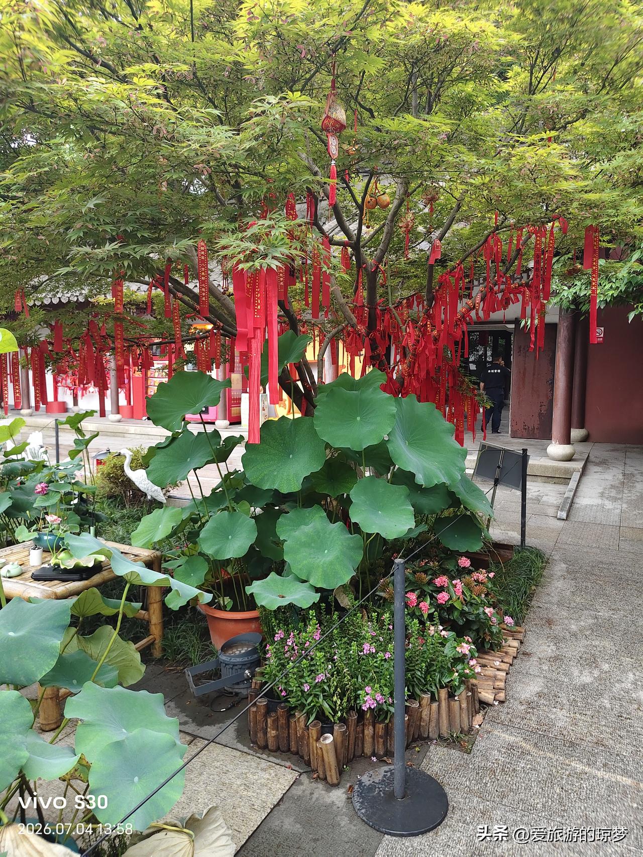 夏日生活打卡季