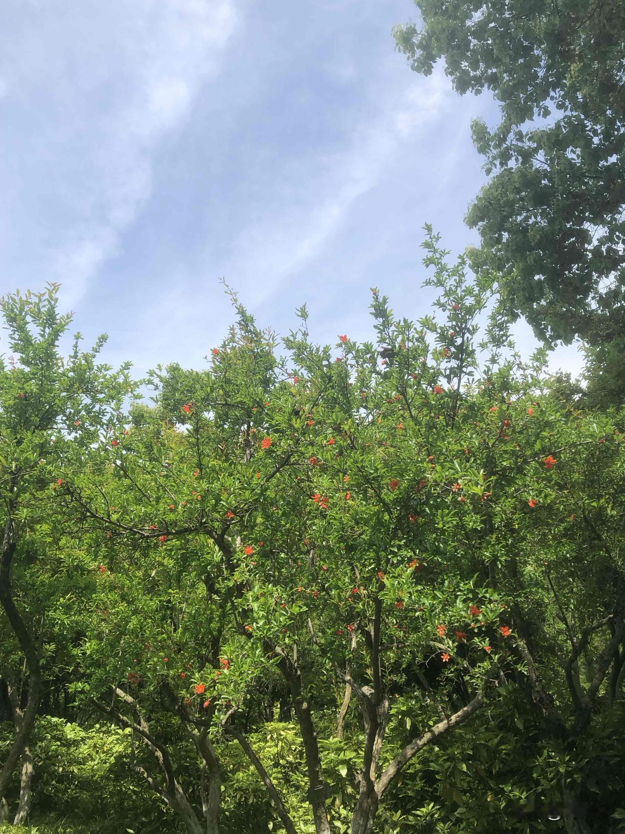 可以分享一张你拍的天空美照吗今天天气不错，阳光不燥，微风正好，抬头撞见这片天空，