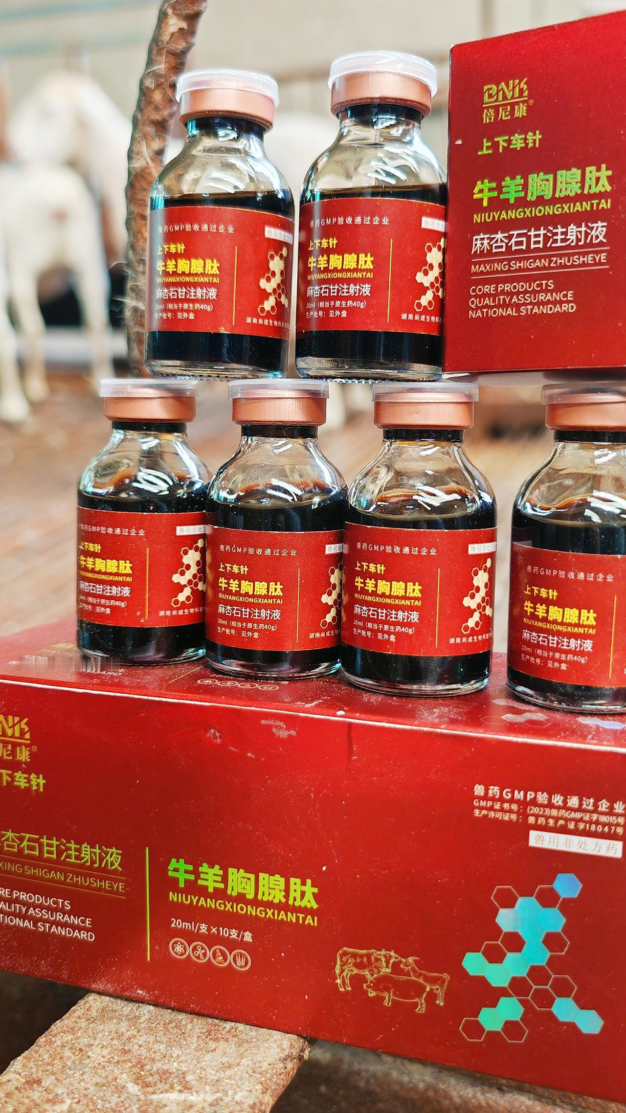 养羊人 农村养羊 牛羊养殖