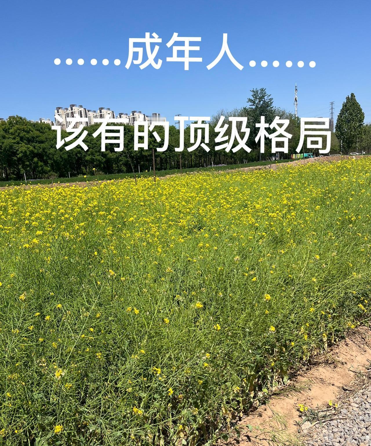 这才是成年人该有的顶级格局。

只要你能做到这五点，活的通透自然而然心情好，情绪