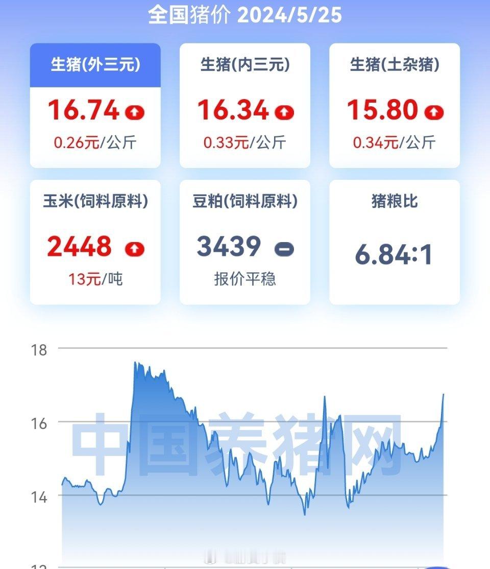 猪价又是大涨！ ​​​