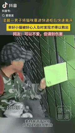 “真是坏到骨子里！”上海一男子凌晨见快递柜没关，竟不顾小猫反抗，硬把它塞进去！幸