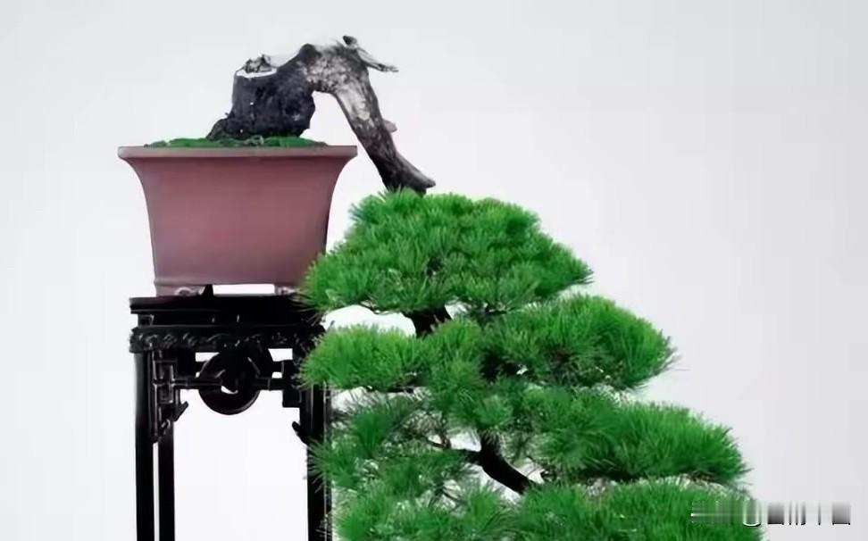 我认为会好名蕴吉意，养心性、正言行，日积月累，自能顺遂人生路途。运势终由本心而定