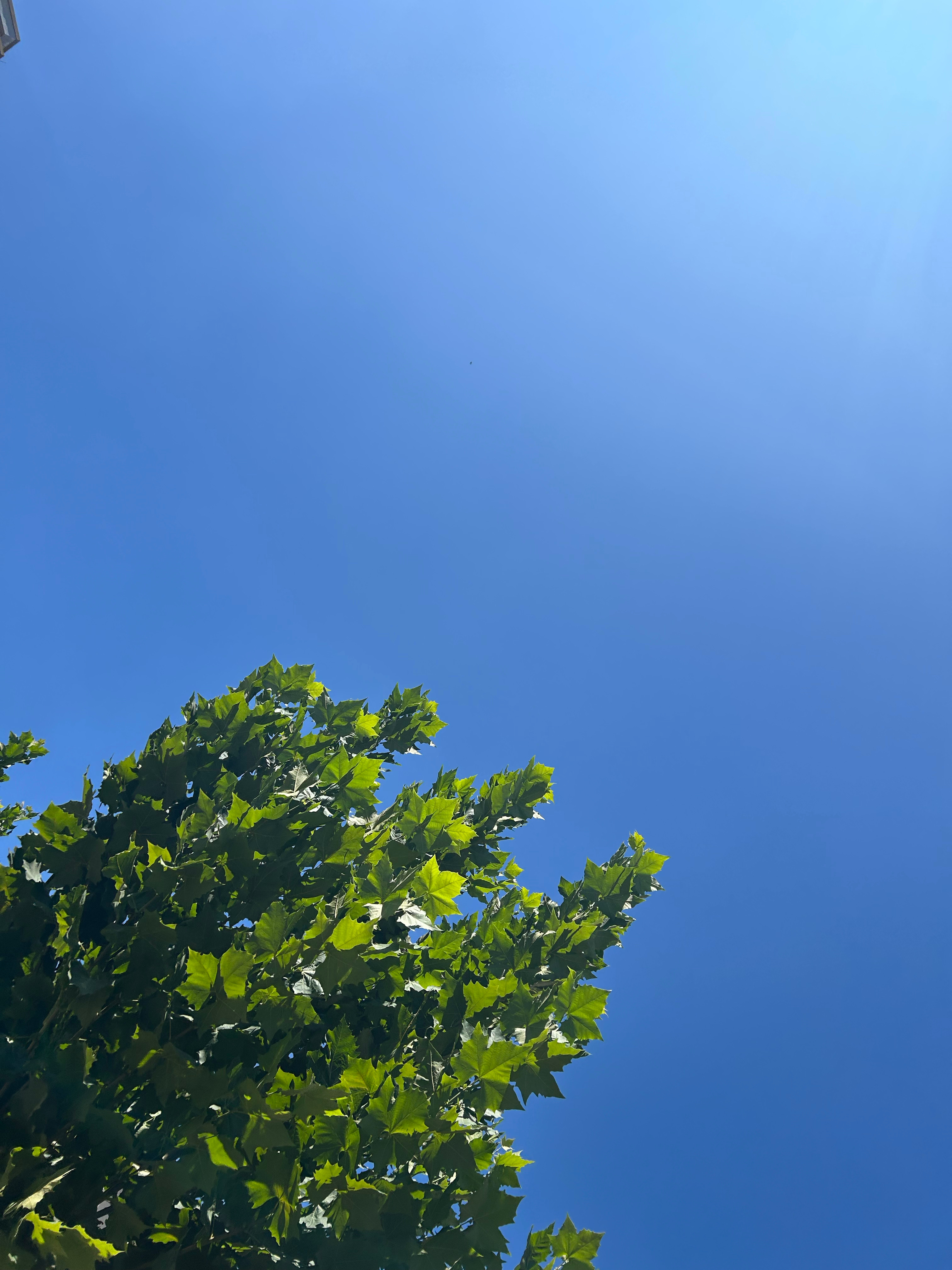 天气超棒 有风 ​​​