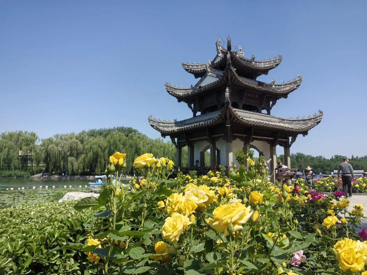 70岁以后，健康生活的十条建议:

1、当你突然发现自己走路时候脚步走得慢了，不