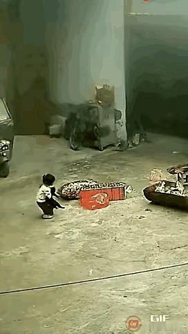 吓到我了！
这小女孩长大了可不得了！
父母意识到了吗？

这小女孩小小年纪就有这