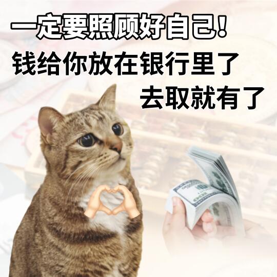 向小猫学习照顾人表情包