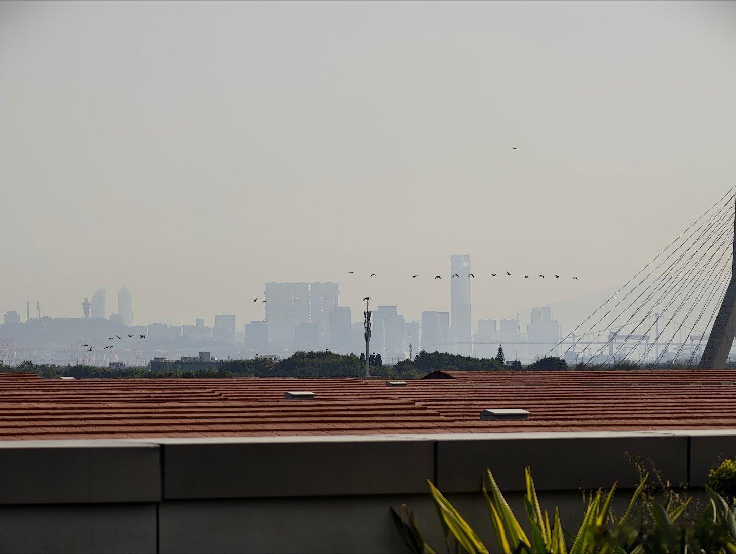 今天天气爆巴适那种 还得是海滨城市太阳晒起人都变阳刚了 成都呆着要把人呆娘随手拍