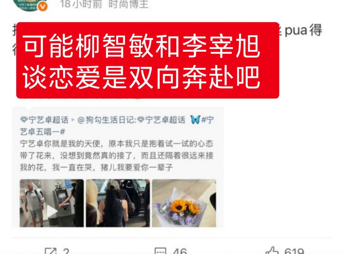 柳智敏: 你倒是过嘴瘾了 留下我一个没花收的在那里尴尬 李宰旭: 敏敏等我退伍就