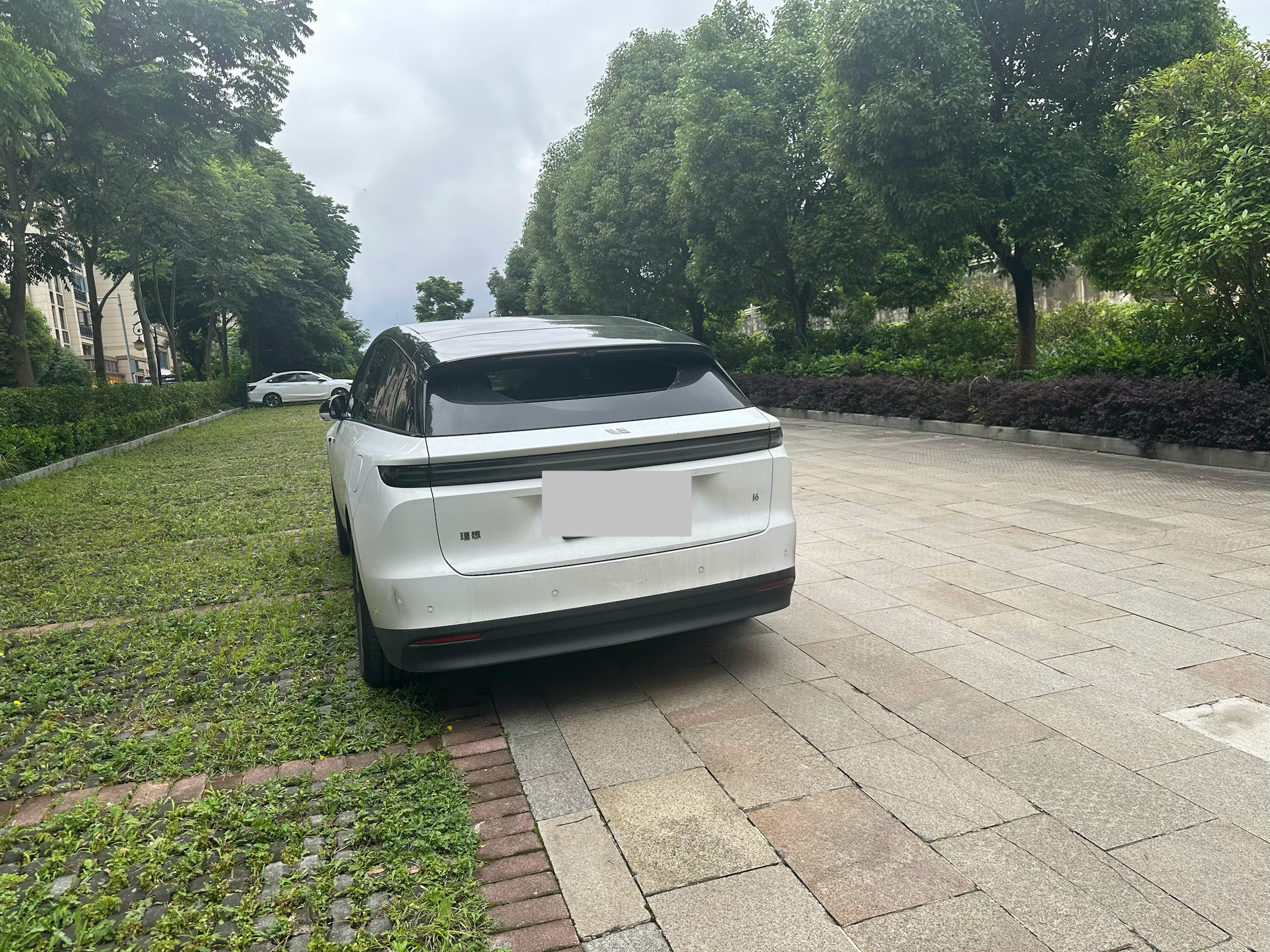 小区旁边遇到一辆理想汽车，真是符合刻板印象。为何要这么停车？其他车都正儿八经停着