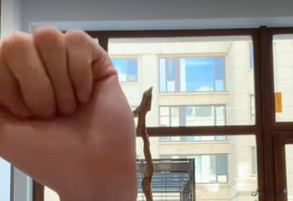 T佑爆料“源佑手”哥仨现金流存款，

          T佑评价“源佑手”哥仨