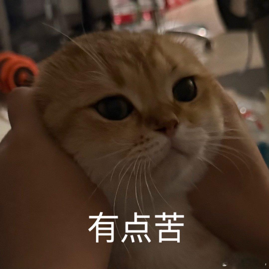 周四白天头晕发胀，晚上开始发烧；周五上吐下泻，一直在昏睡；今天依旧一吃就拉，也吃