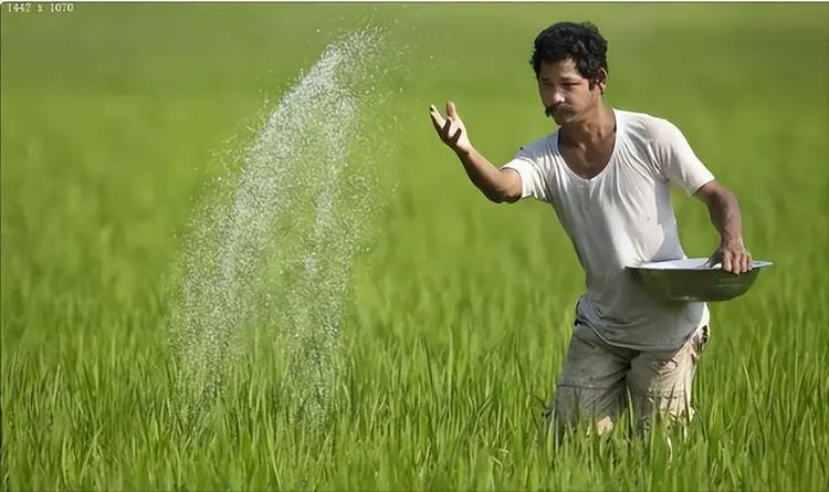 咱们中国企业给印度建了全球最大的煤制尿素厂，活儿都干完了，印度却赖着近 80 亿