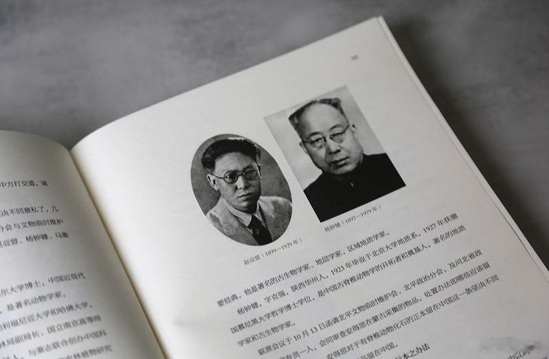 文学汇 听见世界丨常言道偷牛的没逮着，抓住个拔橛子的。民国史上真有这么档子事。1