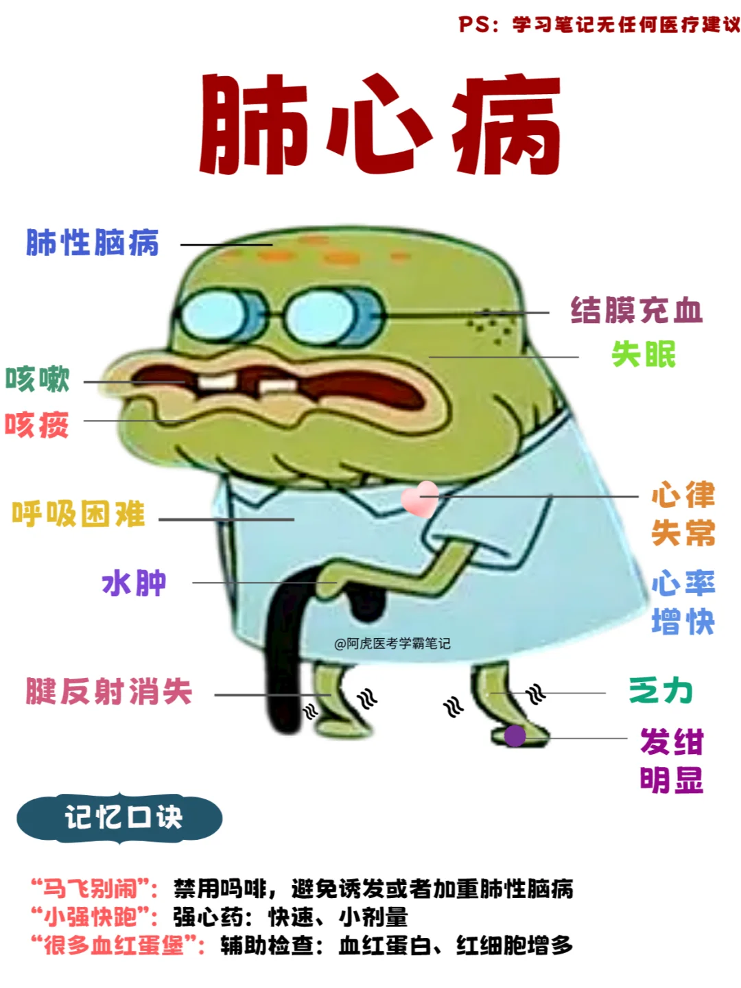 阿虎医考学霸笔记：肺心病