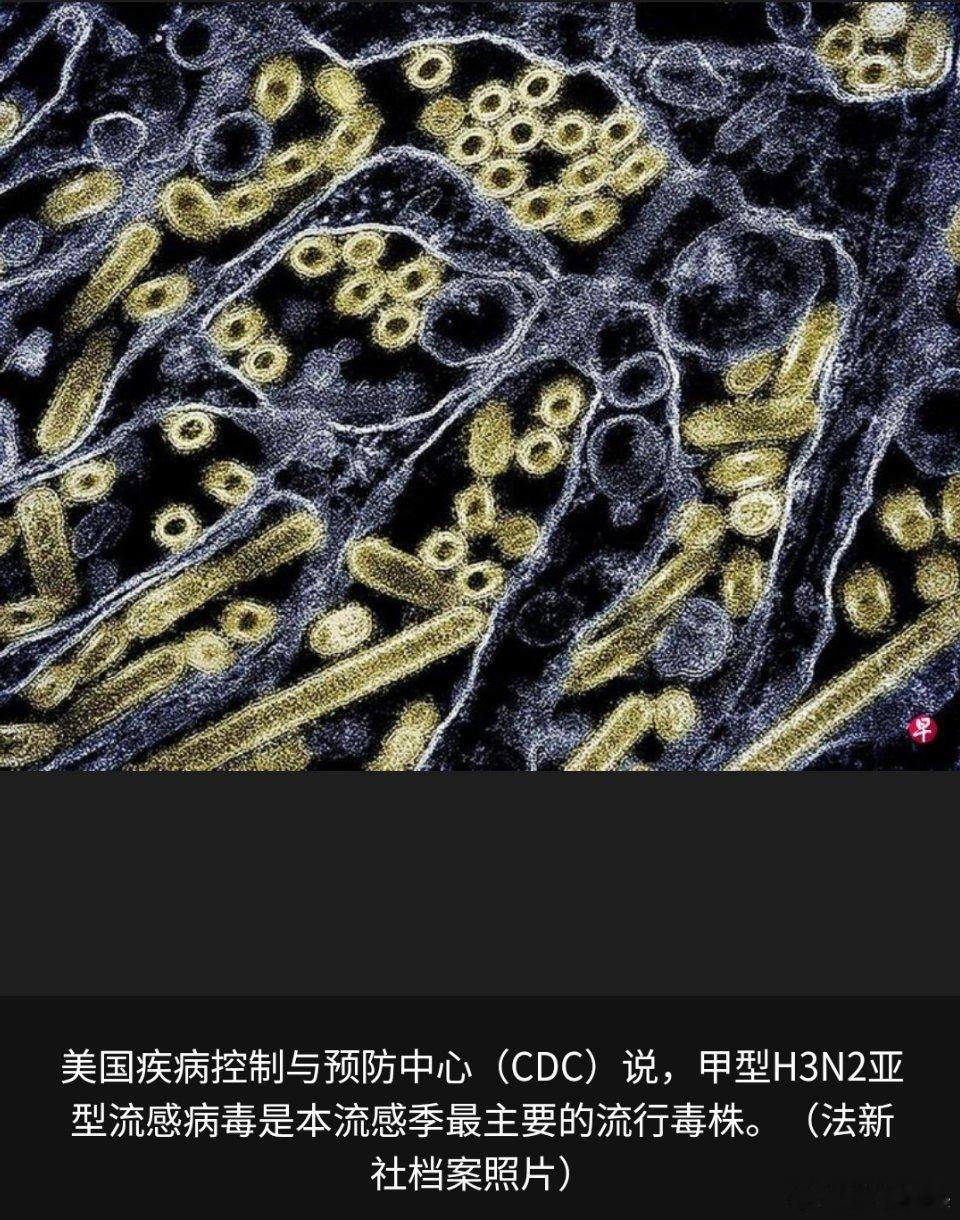 寰球镜头流感并不是普通感冒，日常生活中还是要多注意防范，及时就医的。美国本流感季