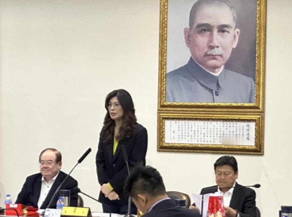 郑丽文突然发声，岛内“炸锅”了！
 
国民党主席郑丽文近日在中常会上表示：“美国