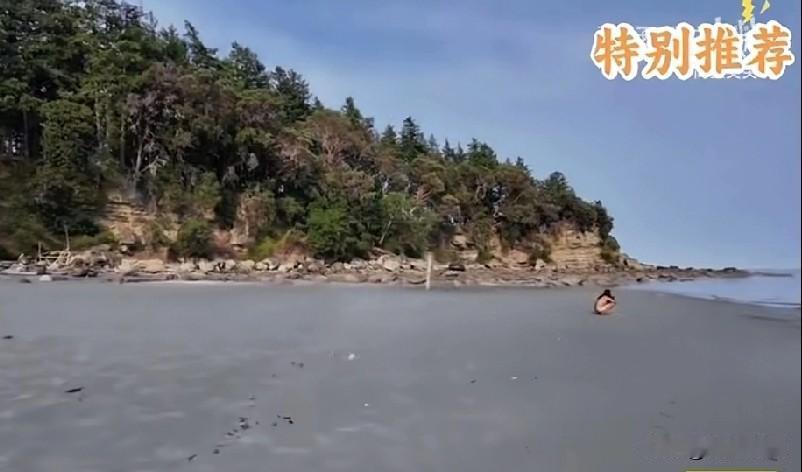 看了这个视频以后，
真的是对这名加拿大女士肃然起敬，
一名加拿大女子在海边散步，