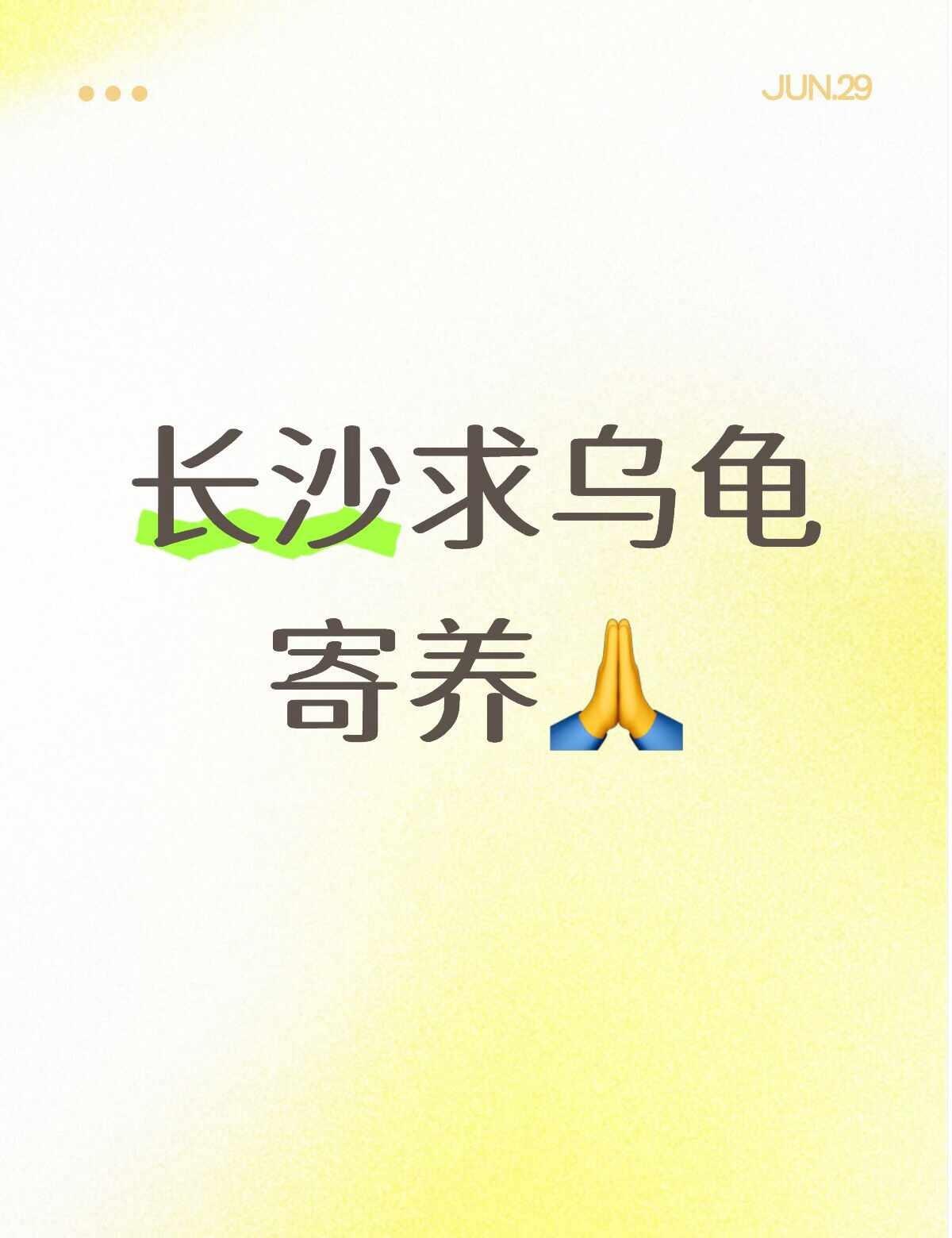 暑假龟龟不方便带回家
因为规划了一放暑假先去旅游再直接回家的计划不方便一直带着?