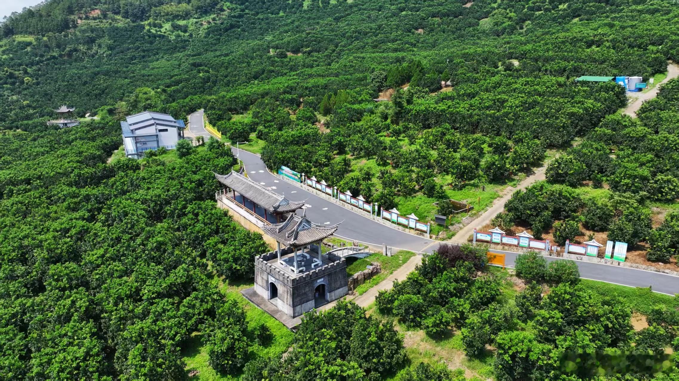 梅州这条线路藏着最甜的故事谁能想到梅州柚子竟藏着全产业链天花板！作为全球最大金柚