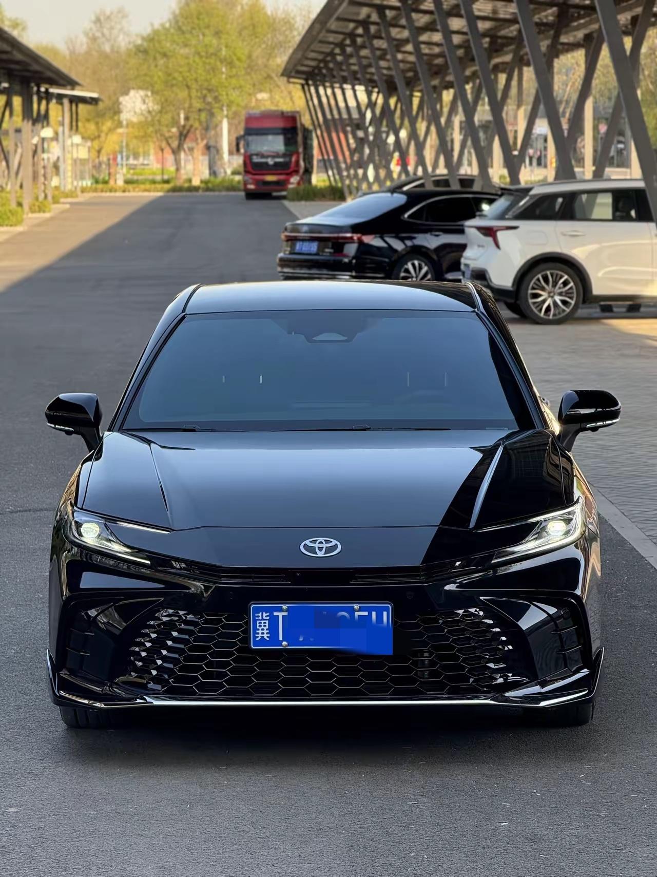 2.0T 油车和新能源都是快消品

以为技术很成熟了，但10年左右的2.0T，烧
