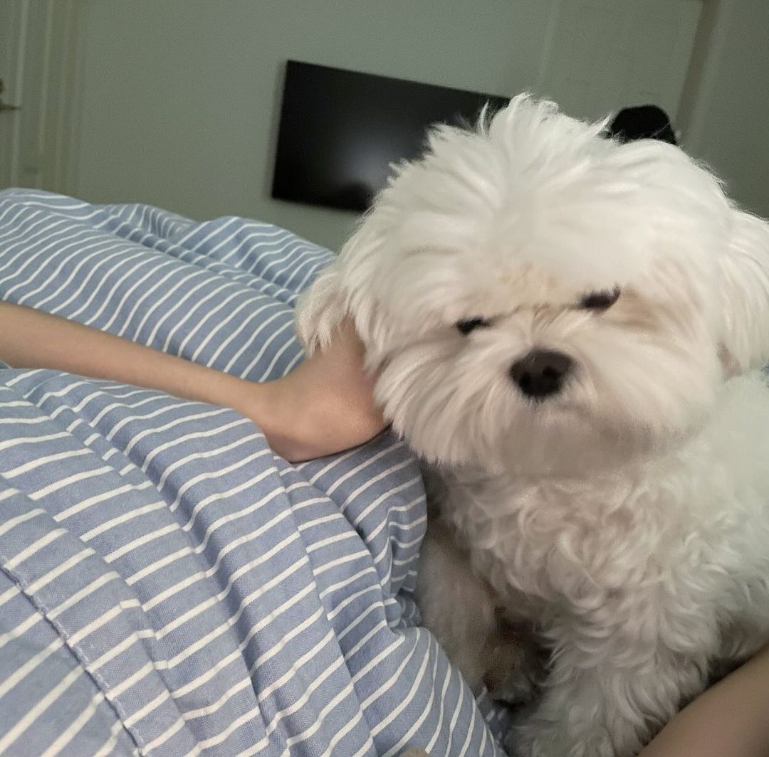 这么早就要睡觉了吗！快起床跟我玩！ ​​​