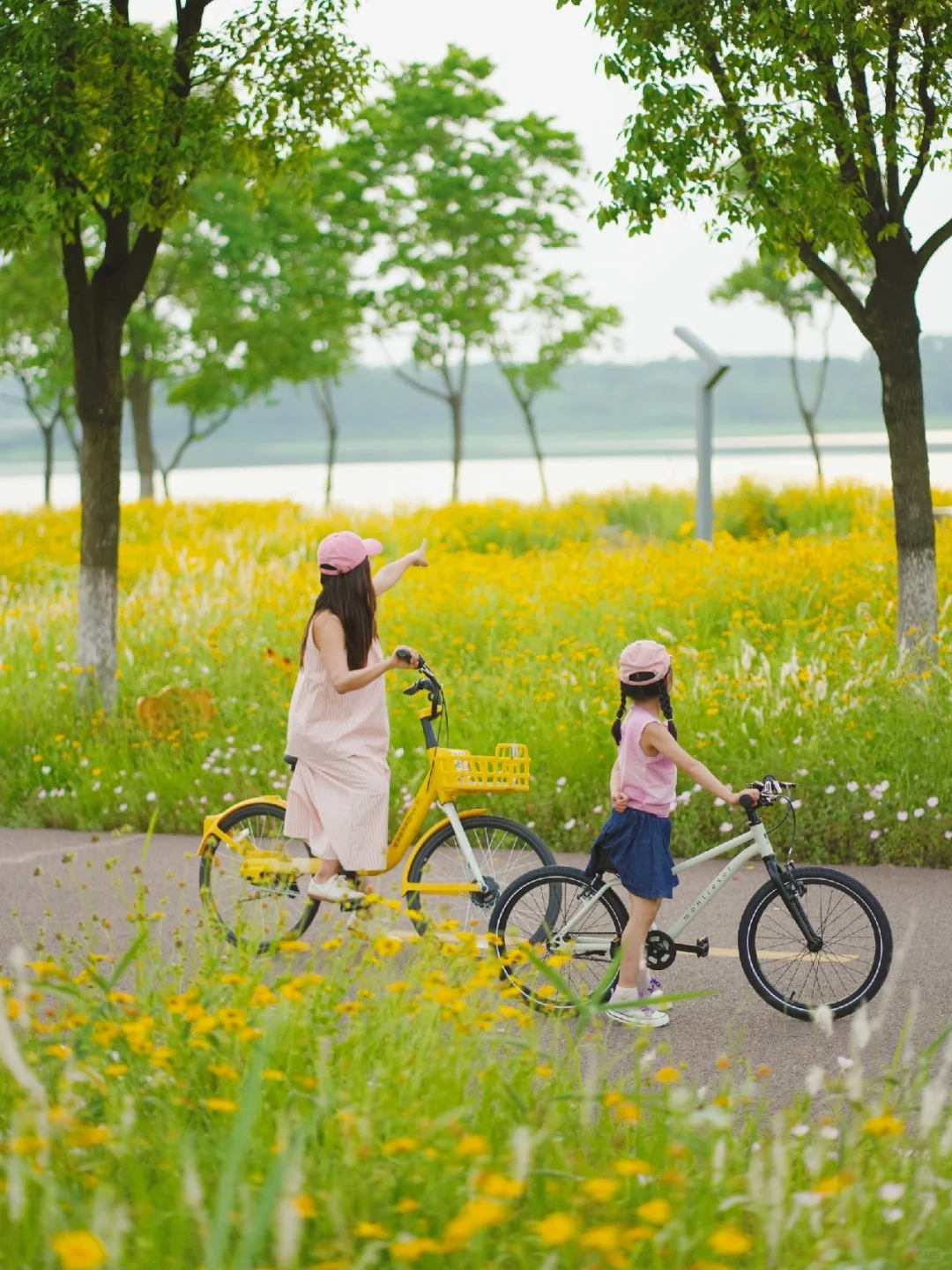 别挤东湖了！武汉这条小众骑行路，一路繁花！
