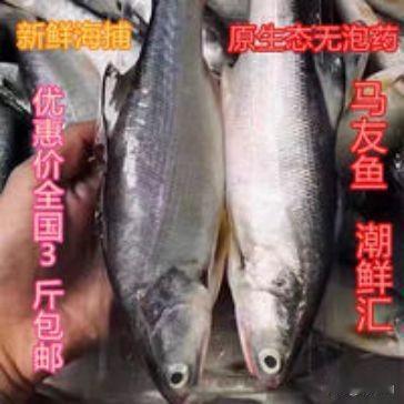 药品食品渗毒造假，罚他倾家荡产，不敢触碰这条“红线”。
食品药品安全确实是国泰民