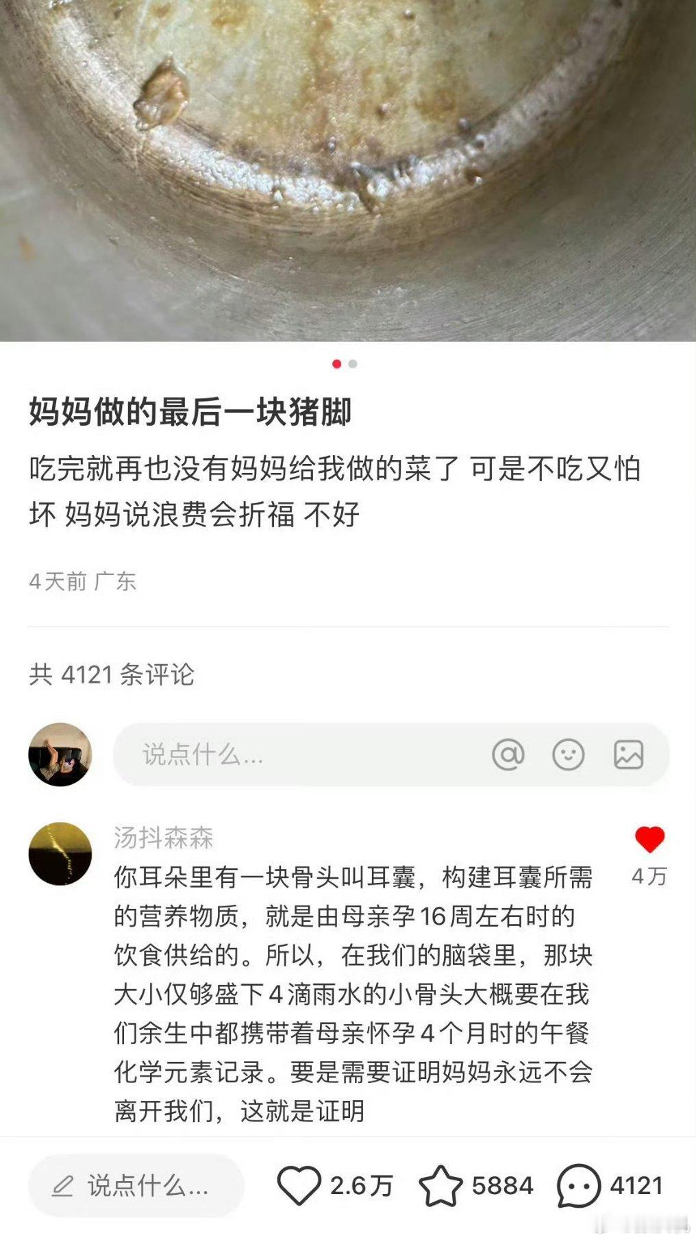 妈妈一辈子都不会离开我们(网友医学生路过，人是没有耳囊这个结构的。但是妈妈的线粒
