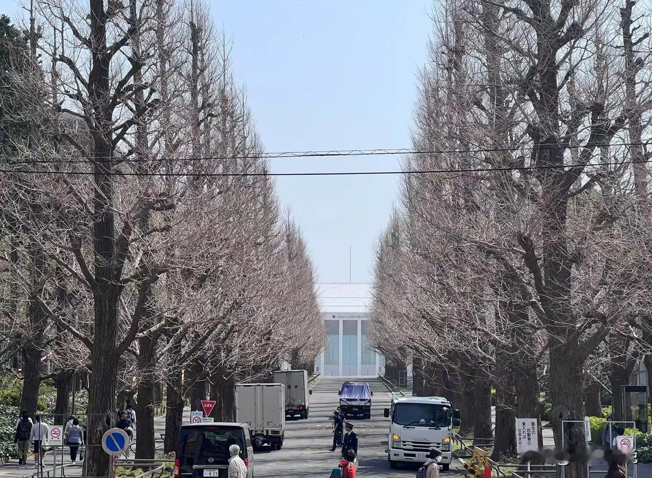3月26日慶應大学