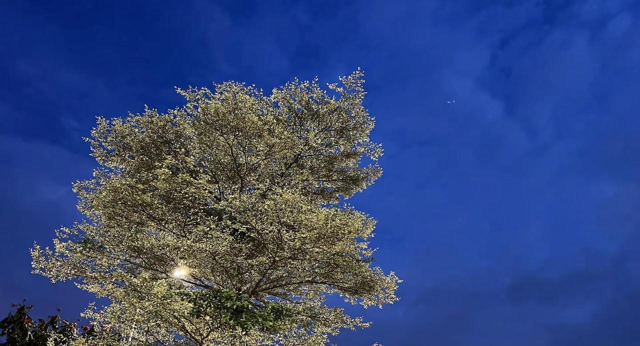 西班牙是不是要夺冠 世界杯 广州