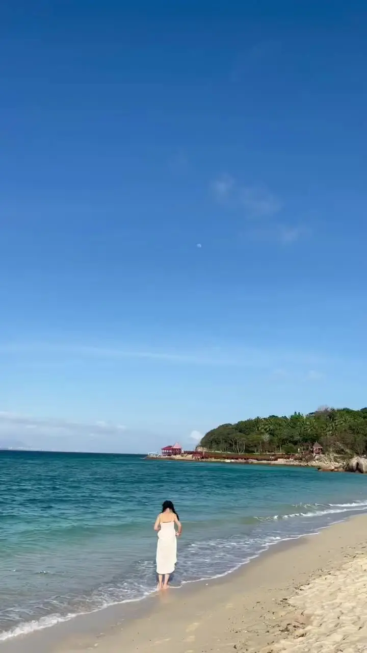 项天骐我的爱情睡死了 千回西域