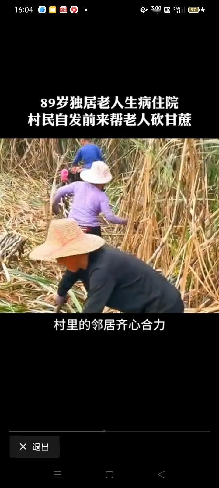 海南的一位89岁的独居老人，突然间生病住院治疗，但是他种的甘蔗又到了收获的季节，