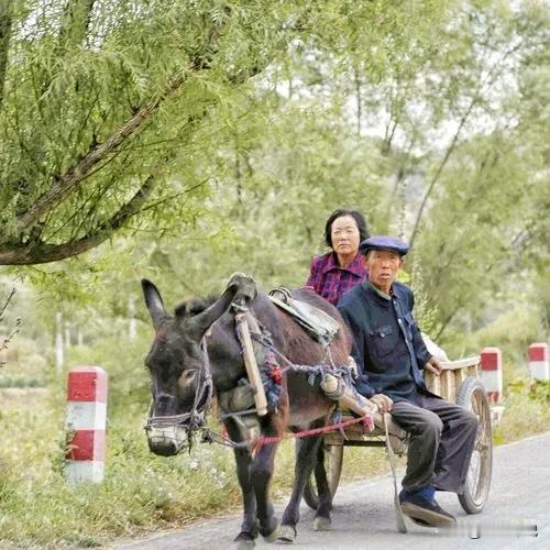 闲不住的老年人


天下之大，无奇不有。从古至今人们都热衷于追求和享受幸福，但是