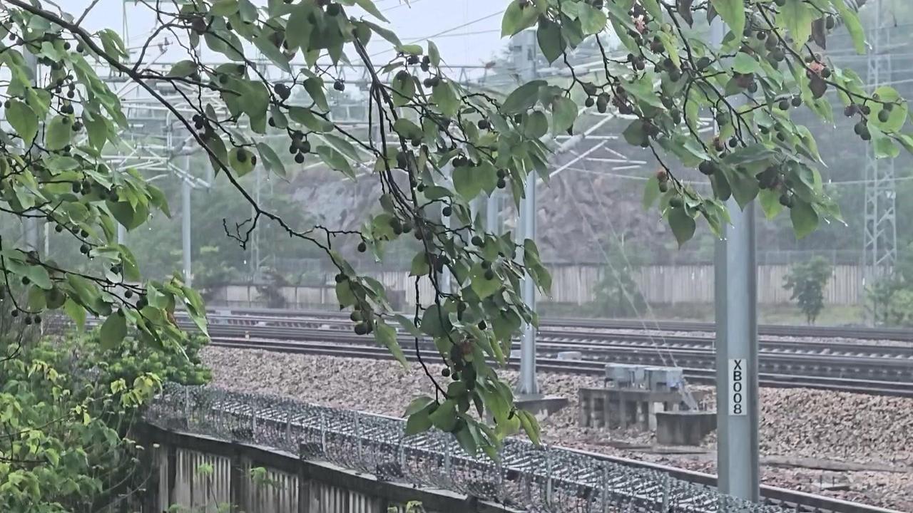 风雨无阻的铁路跨越，徐州东站见证实力！🚄
台风暴雨变奏，金凤凰跨站南下、和谐号