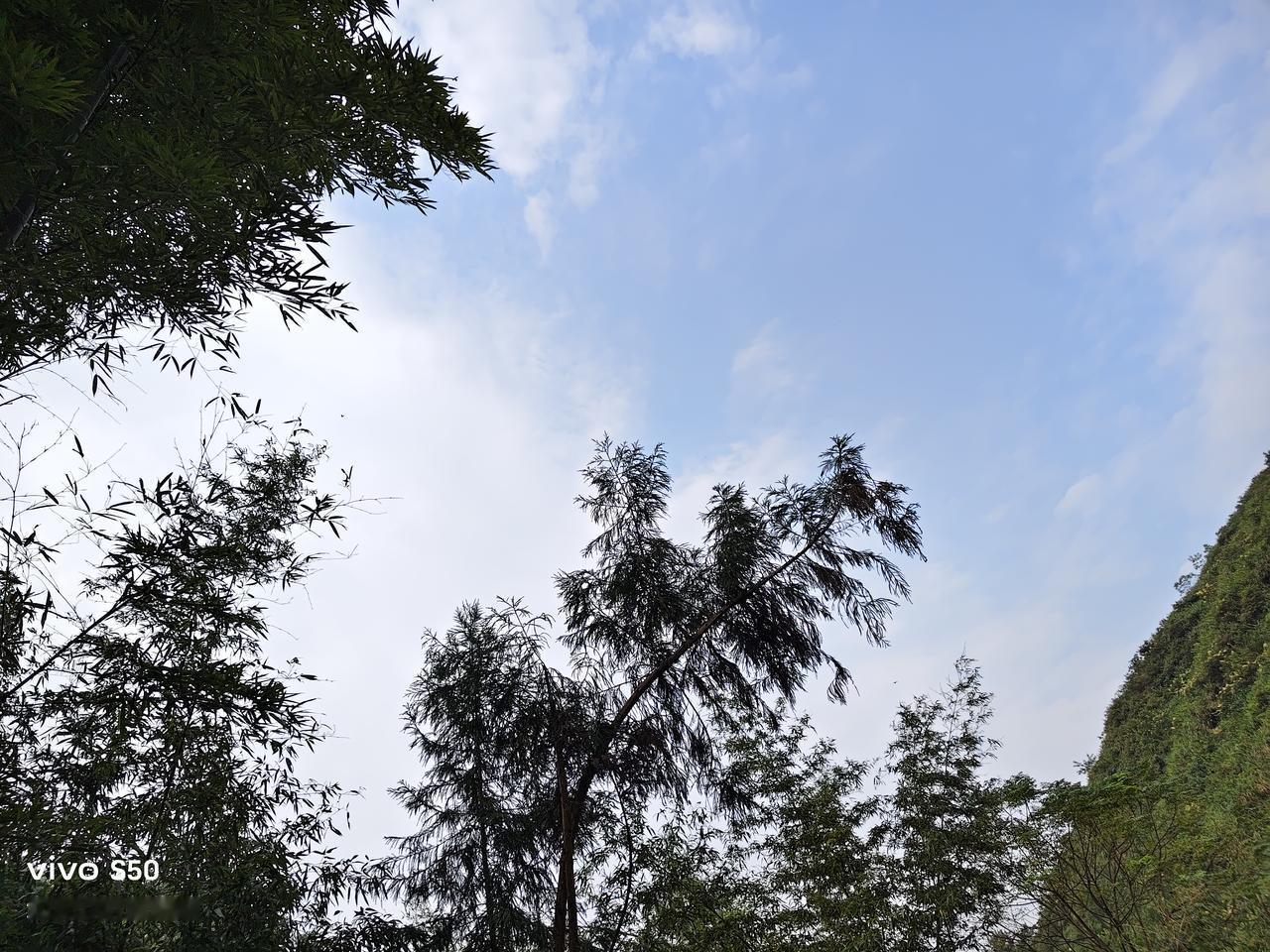 拥有今天就好好感受今天，允许停滞和放空，人生是可以慢半拍，再慢半拍的，开心的日子