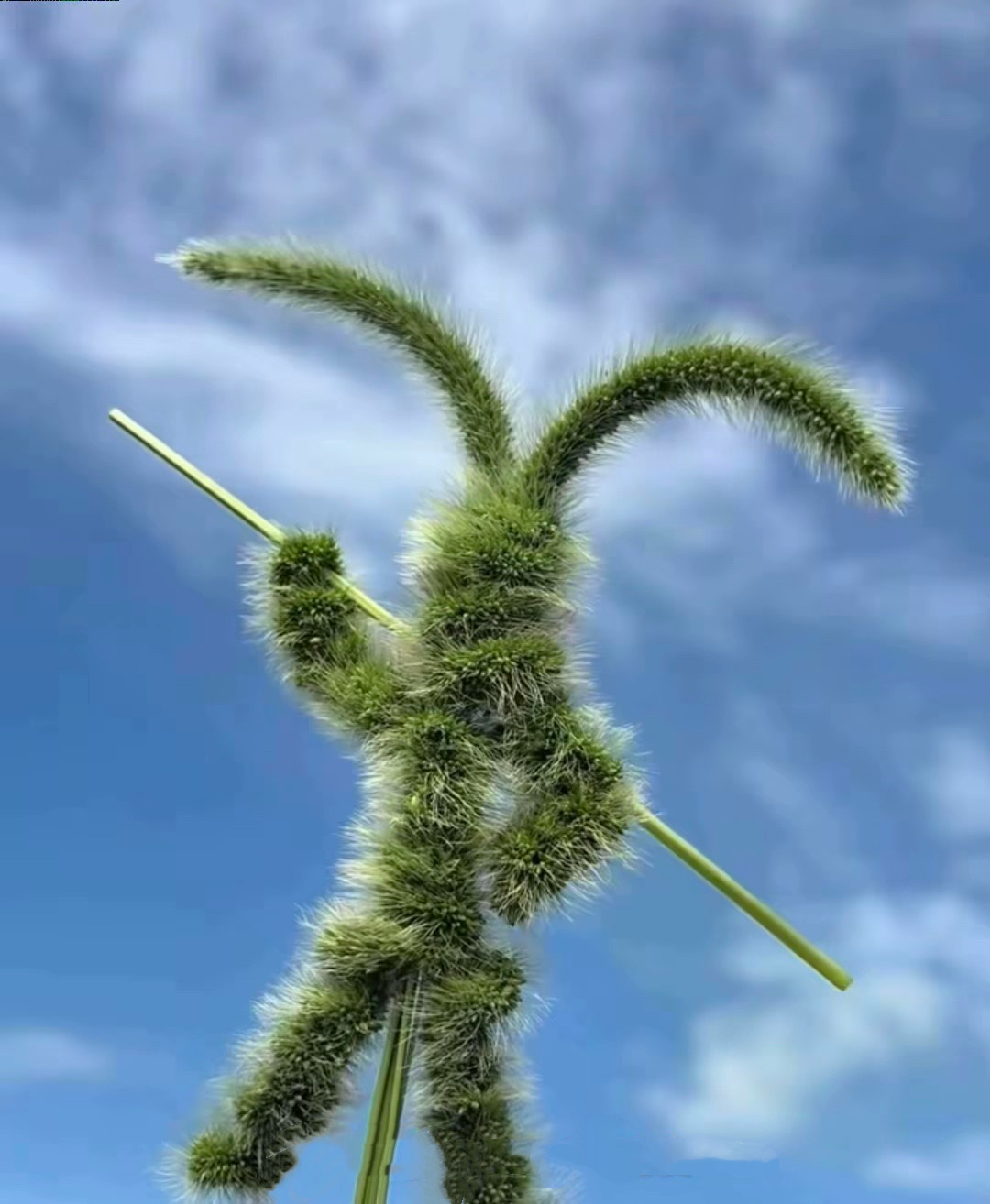 在更远的地方看股市       从长期来看，股市无非是牛熊的更替，股价只不过是高