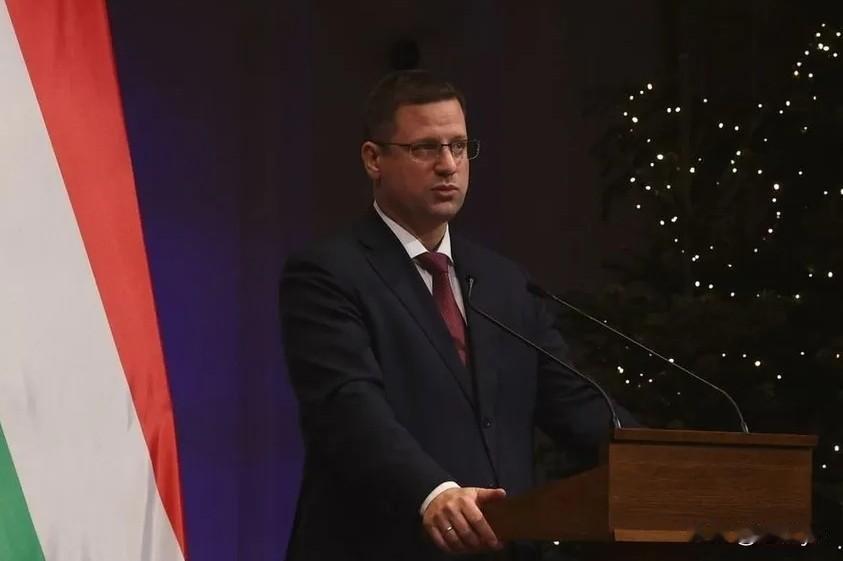 23日，匈牙利总理办公室主任古亚什表示，欧盟不应继续资助战争，而应支持和平。他表