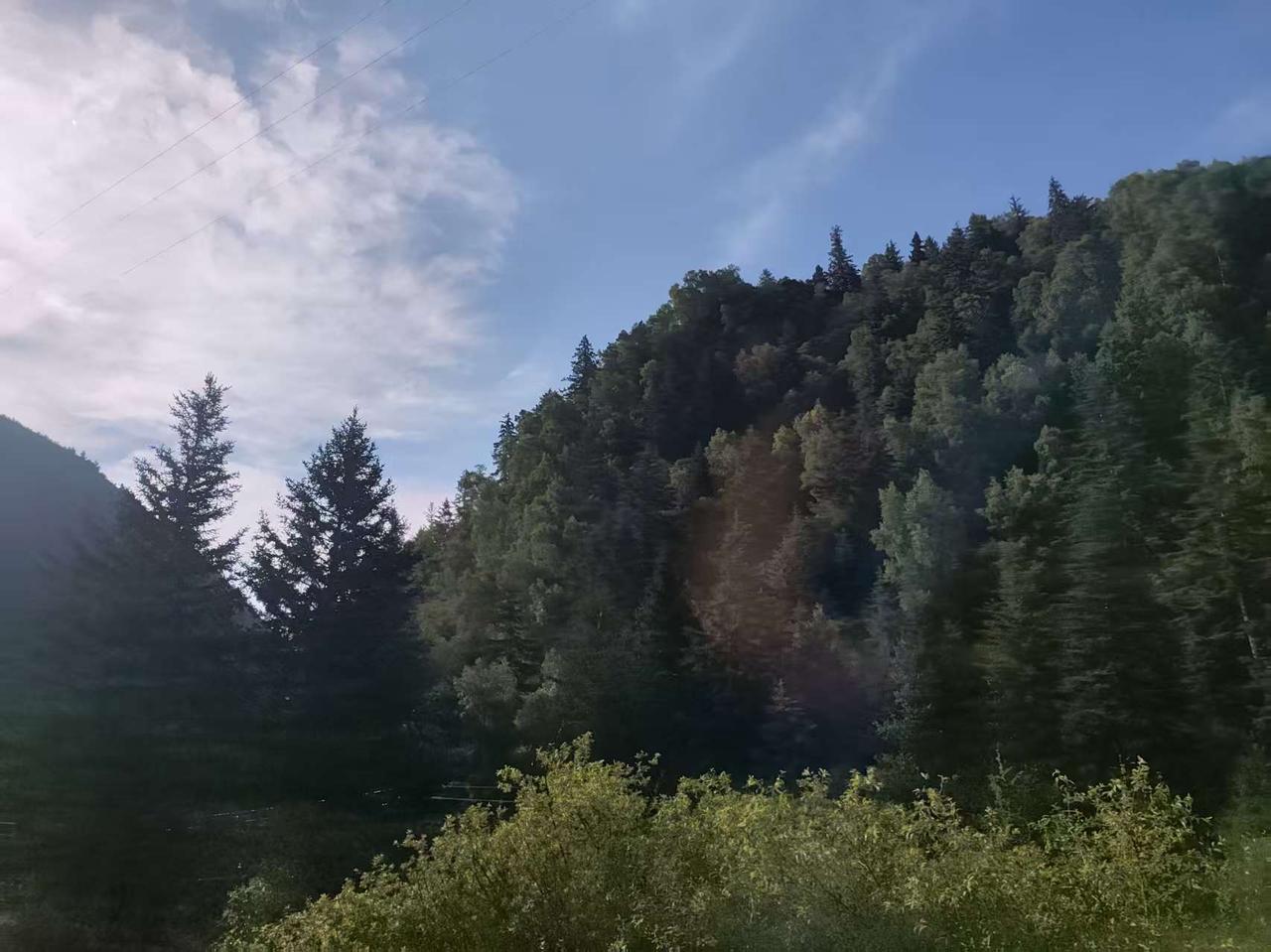 山林间，阳光洒落，静谧而美好。🌳🌞